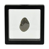 Starborn Authentic Saffordite (20-30 Carat) Cintamani Gemstone