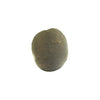 Starborn Authentic Saffordite (20-30 Carat) Cintamani Gemstone