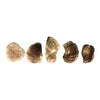 Starborn Pearl of Fire 10-15g Agni Mani natural Glass