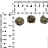 Starborn Ammonite Pleuroceras found in Nuremberg with brass finish