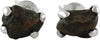Starborn Natural Meteorite Campo Del Cielo Stud Earrings 925 Sterling Silver