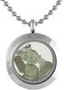 Starborn Moldavite Window Pendant in Stainless Steel