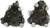 Starborn Natural Meteorite Campo Del Cielo Stud Earrings 925 Sterling Silver