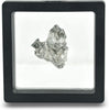 Starborn Genuine Campo Del Cielo 20-30 Gram Meteorite Nugget