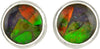 Starborn Ammolite Stud Earrings 9 mm Sterling Silver Setting