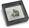 Starborn Genuine Campo Del Cielo 20-30 Gram Meteorite Nugget