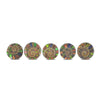 Ammonite with Ammolite Inlay Cabochons 18-19mm round