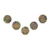 Ammonite with Ammolite Inlay Cabochons 18-19mm round