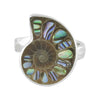 Starborn Ammonite with Abalone Shell Inlay Ring in Sterling Silver