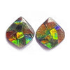Ammolit-Zwiebel-Cabochons 19 mm – 1 Paar