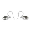 Starborn Fossilized Ammonite Earrings in Sterling Silver