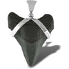 Fossil petrified Makoshark Tooth 925 Sterling Silver Pendant