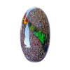 Fossil Dinosaur Bone with Ammolite Inlay Large Cabochon 40mm - 1 piece